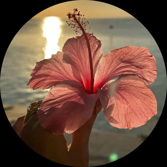 gigi_dicent